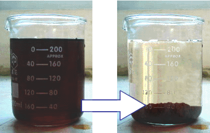生物脫色劑 生物脫色劑