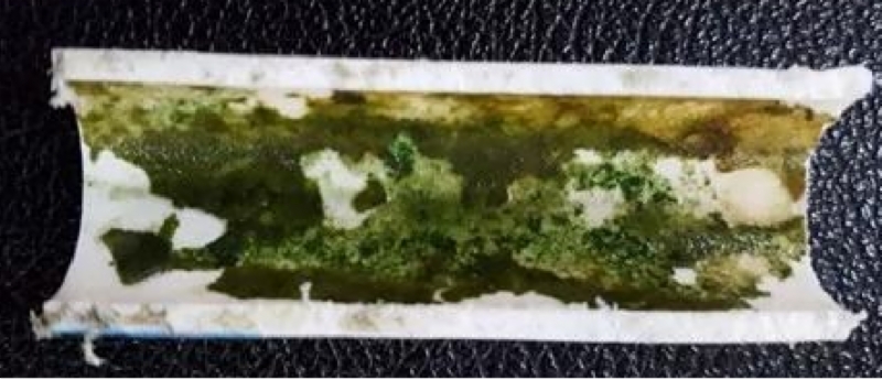 殺菌滅藻劑 殺菌滅藻劑